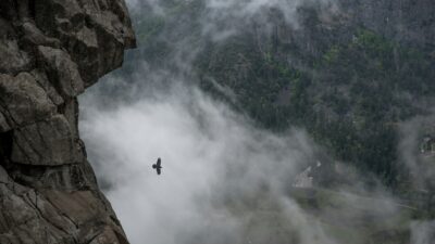 Surmonter ses peurs et ses doutes